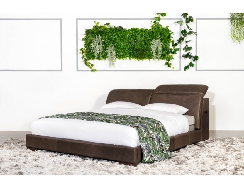 Fliq Bed Frame with Adjustable Headrest