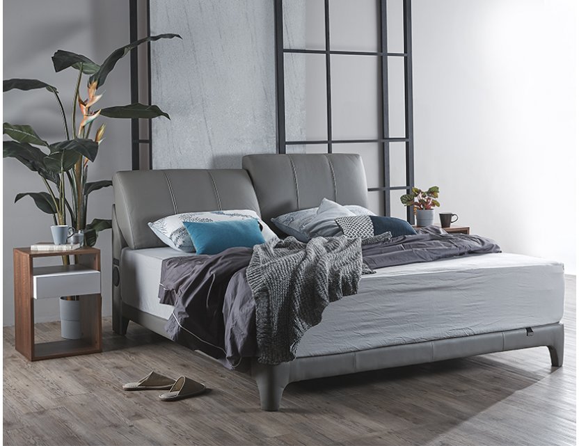 Gaze Bedframe (Half Leather)  with USB Ports and Bluetooth Speakers