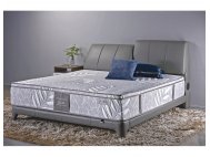 Gaze Bedframe (Half Leather)  with USB Ports and Bluetooth Speakers