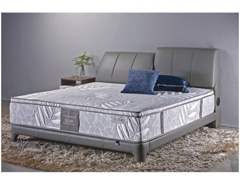 Gaze Bedframe (Half Leather)  with USB Ports and Bluetooth Speakers