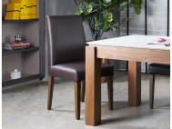 Doric Dining Chair